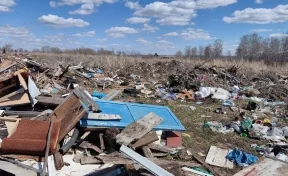 В Кузбассе ликвидировали нелегальную свалку на площади более гектара