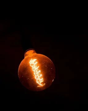 Фото: А42.RU
