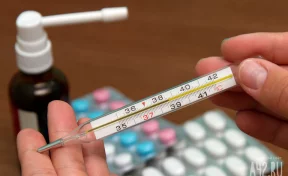 В Кузбассе почти 28 тысяч человек заболели гриппом и ОРВИ за неделю