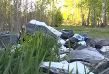 Фото: В Кемерове обнаружили ещё одну свалку медицинских отходов 1