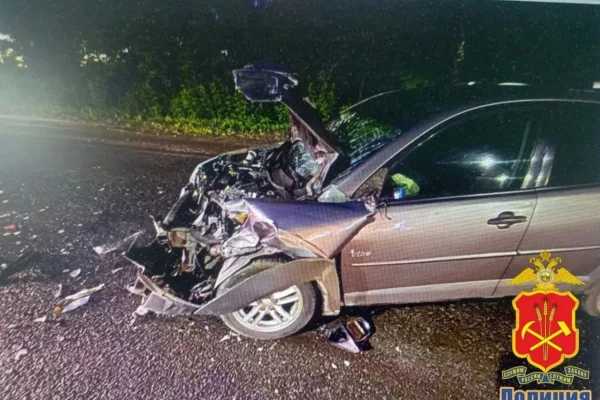 В Кузбассе виновника смертельного ДТП отправят в колонию на 5 лет 