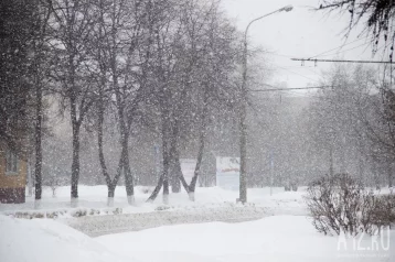 Фото: В Кузбассе за сутки выпало до 1,2 м снега 1