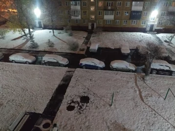 Фото: «Зима пришла всё-таки»: кузбассовцы делятся в соцсетях фотографиями выпавшего снега  1