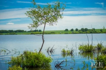 Фото: В пяти российских регионах ожидается повышение уровня воды в реках 1