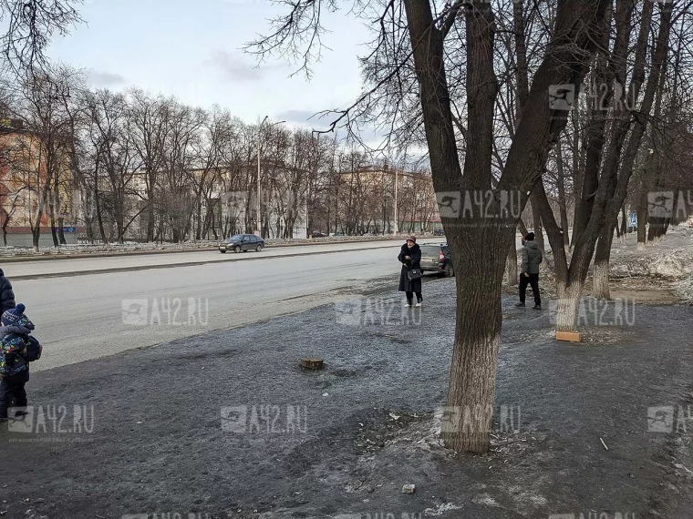 Фото: В Кемерове на проспекте Ленина исчезла остановка 2