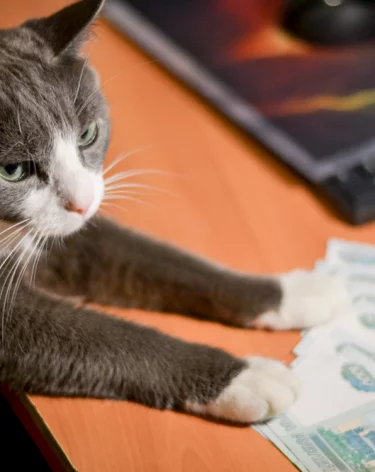 Кемеровостат: в Кузбассе средняя зарплата снизилась до 78 тысяч рублей