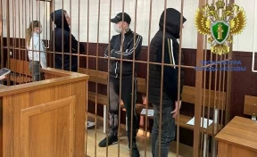 Завершено расследование дела о мошенничестве с квартирой Ларисы Долиной