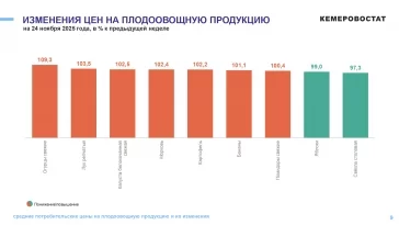 Инфографика: Кемеровостат