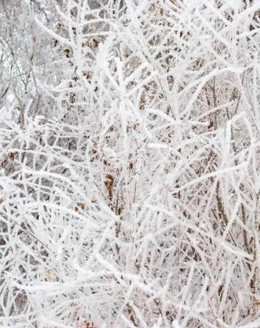 Спасатели освободили застрявшего в сугробе медика