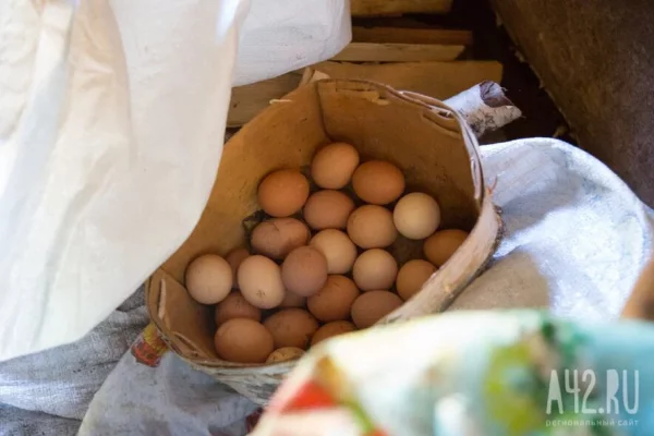 Депутаты ГД обеспокоены возможным повышением цен на яйца в преддверии Пасхи