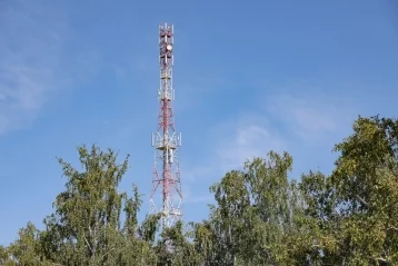 Фото: Сто тысяч сельчан Кузбасса впервые получили доступ к 4G МегаФона 1