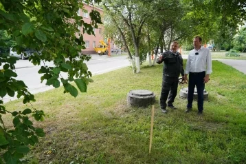Фото: Глава Кемерова рассказал о судьбе яблонь на улице Мичурина 1