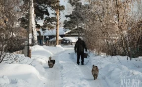 В Кузбассе с начала года родились 14 тысяч человек, умерли более 31 тысячи