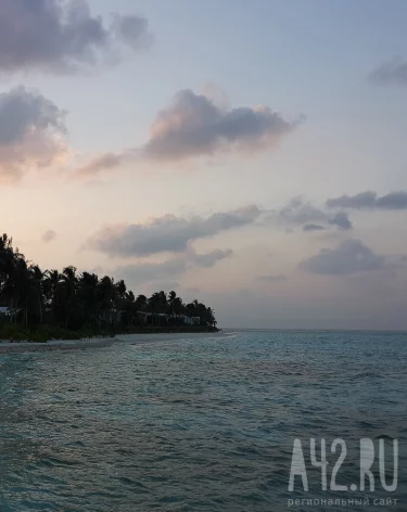 Российский учитель дважды опоздал на работу в Таиланде и попал в тюрьму