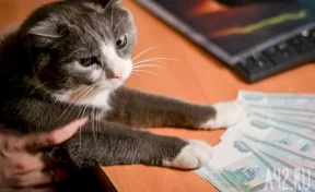 В Кемерове здание ТЦ на Советском проспекте продают за 91 млн рублей