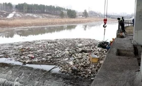 В Кемерове начали очищать Искитимку от мусора