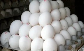 Мужчина съел на спор 41 куриное яйцо и умер
