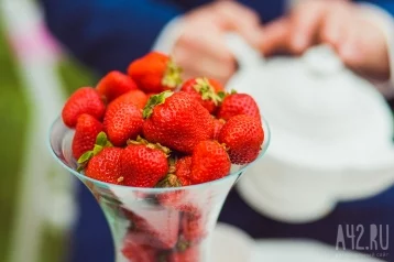 Фото: Врач назвала 5 продуктов, которые лучше всего спасают от обезвоживания во время жары 1