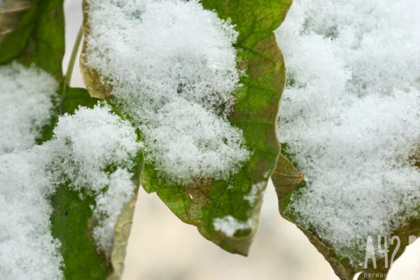 Покров Пресвятой Богородицы: народные приметы на 14 октября
