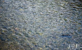 В Челябинской области пенсионер обнаружил в реке тело женщины