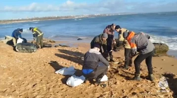 Фото: Новые выбросы мазута произошли в Крыму и Анапе 1