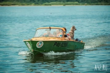 Фото: На Красном озере в Кемерове из воды спасли шестилетнего ребёнка 1