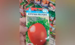«Клубничка», «Золотая клуша» и «Мамонтёнок»: в Кузбассе нашли несуществующие семена овощей