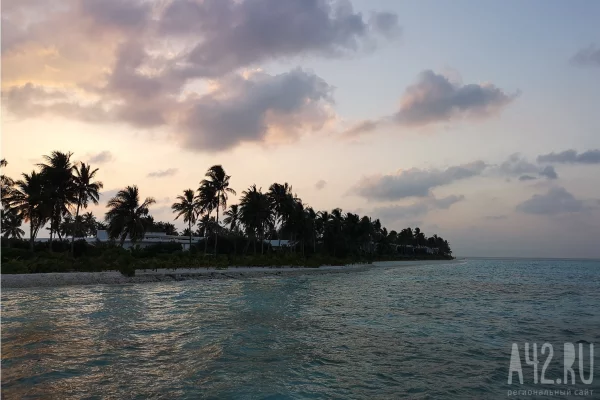 Российский учитель дважды опоздал на работу в Таиланде и попал в тюрьму