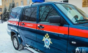 СК и прокуратура проверяют информацию о рухнувшем на женщину с ребёнком потолке в Киселёвске
