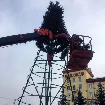 Фото: В Прокопьевске вандалы повредили главную новогоднюю ель города 1