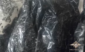 В Подмосковье полицейские накрыли цех по производству поддельной икры