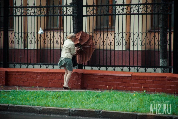 В МЧС Кузбасса предупредили об усилении ветра в регионе