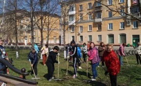 Чистый Кемерово: как прошёл субботник «Зелёная Россия»