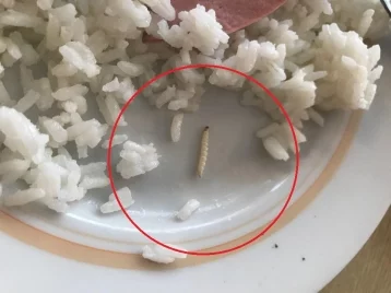Фото: В рисе в школьной столовой под Липецком нашли червей 1