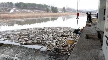 Фото: В Кемерове начали очищать Искитимку от мусора 1