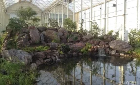 Кемеровский ботанический сад отметил новоселье в день 100-летия города