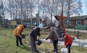Илья Середюк: в Кузбассе высадят 1,8 млн деревьев и кустарников