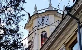 Глава Кемерова снял на видео, как ремонтируют часы на Главпочтамте