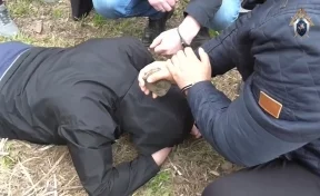 В Московской области нашли кузбассовца, жестоко убившего женщину в 2008 году
