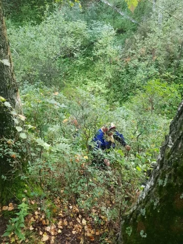 Фото: Две женщины ушли за грибами и заблудились в лесу в Кемеровском округе 1