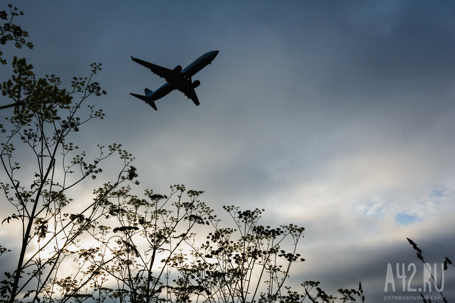 Эксперт предупредила о подорожании авиабилетов к лету