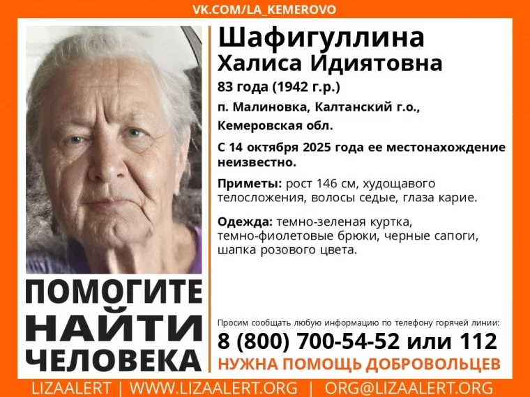 Фото: В Кузбассе без вести пропала 83-летняя женщина в розовой шапке 1