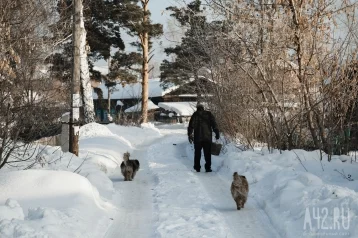 Фото: В Кузбассе с начала года родились 14 тысяч человек, умерли более 31 тысячи 1
