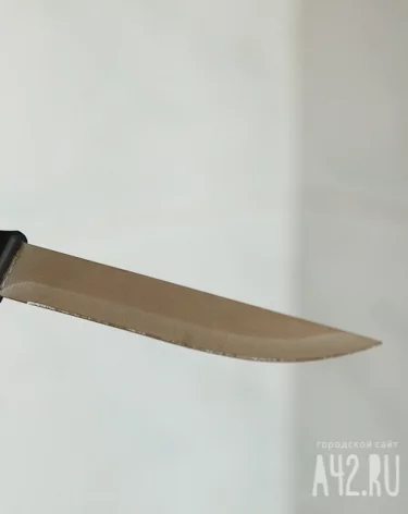 В Сочи подросток убил мать и попытался зарезать брата