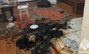 Вывели из горящей квартиры: в Новокузнецке пожарные спасли человека