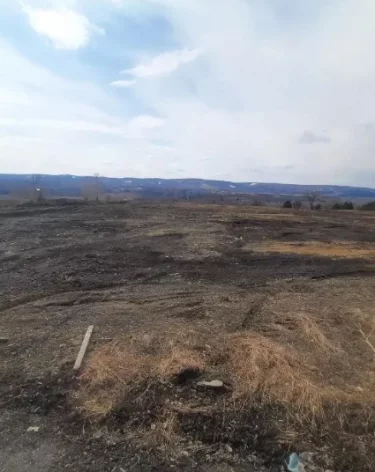 Фото: <a href=https://t.me/kemprokuratura/11733?single>Прокуратура Кемеровской области</a> / Телеграм