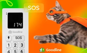 Умные домофоны Goodline оповестят об опасности и вызовут экстренные службы