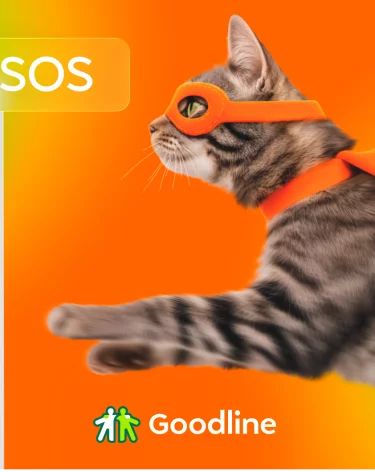 Умные домофоны Goodline оповестят об опасности и вызовут экстренные службы