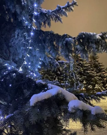 Фото: А42.RU