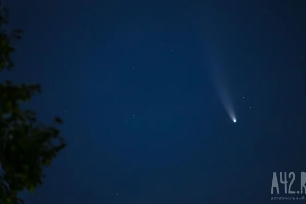 Силы ПВО за ночь сбили более 180 БПЛА над регионами РФ